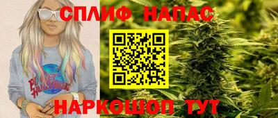 spice Кингисепп