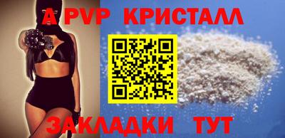 spice Кингисепп