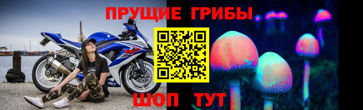 где купить наркотик  Галлюциногенные грибы Cubensis  Вход с VPN  Котовск  Галлюциногенные грибы Psilocybine cubensis 